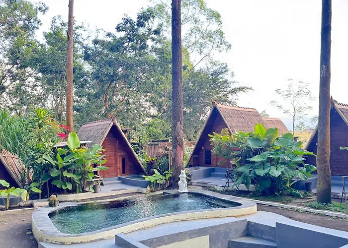 ホームステイ Triangle House And Hot Spring Kintamani