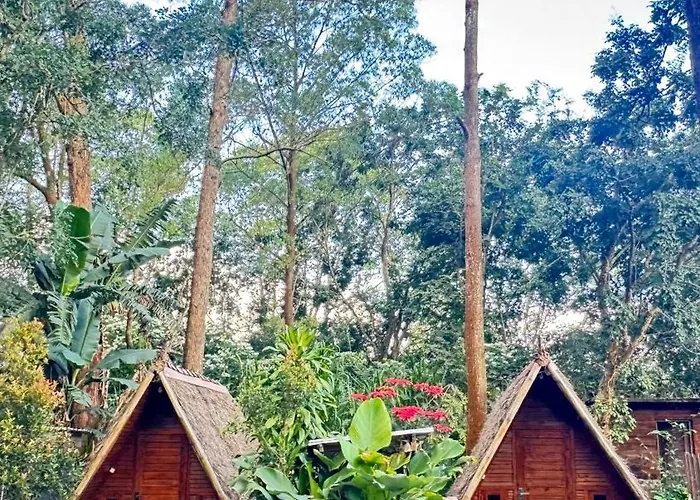 Triangle House And Hot Spring ホームステイ Kintamani