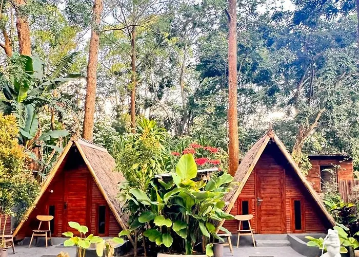 ホームステイ Triangle House And Hot Spring Kintamani
