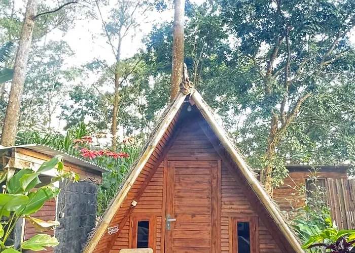 Triangle House And Hot Spring ホームステイ *